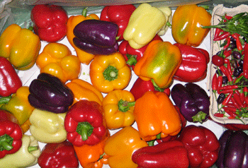 PepPottpuri.gif