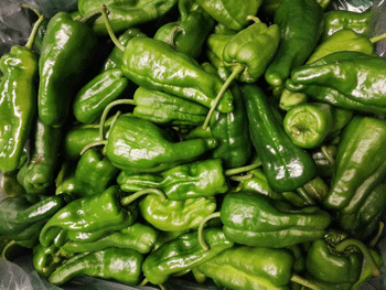 pimentos.gif